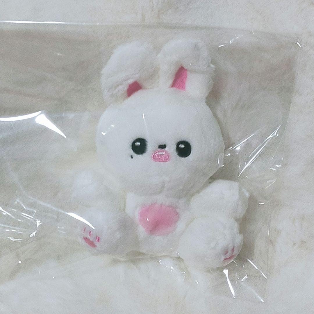 Amazon.co.jp: IVE アイブ ウォニョン ぬいぐるみ キーホルダー : おもちゃ