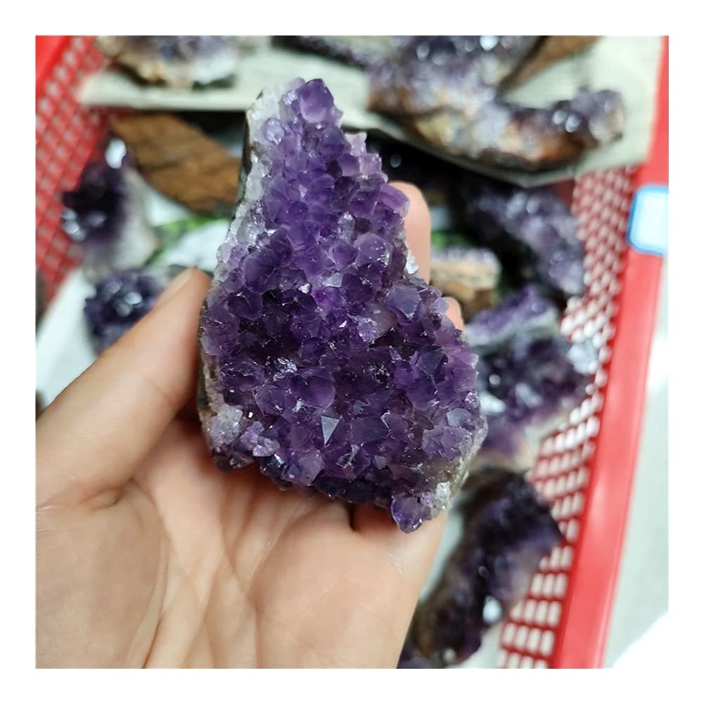 FUERLI Espécimen de Cristal de racimo de Cuarzo de geoda de Amatista Natural Artesanal de Piedra FZUGEDRLI
