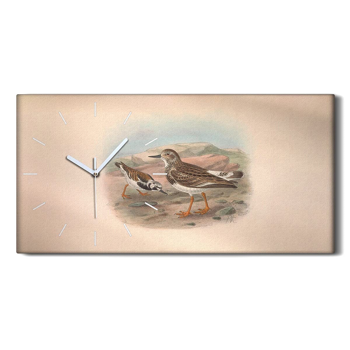 Horloge sur Toile 60x30cm Dessin d'Oiseaux et Animaux Sauvages Coloray