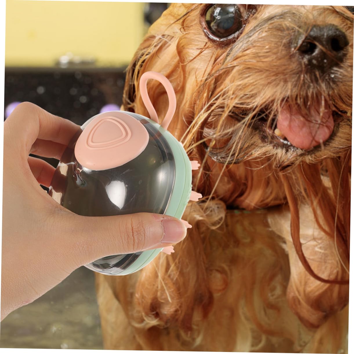 Kisangel 5piezas Cepillo De Baño Reutilizable Para Mascotas Cepillo De Masaje Para Perros y Gatos Herramienta De Limpieza Ecológica y Resistente