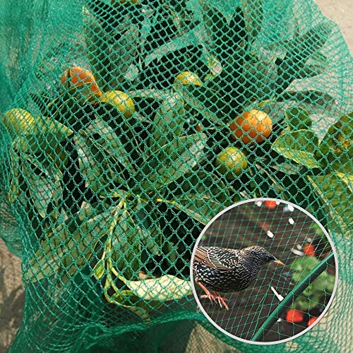 LANGYINH Garden Anti Bird Protection Netting,Pond Netting,Plant Mesh Netting for Protecting Fruits Plants,Lots, 10 x 50 m