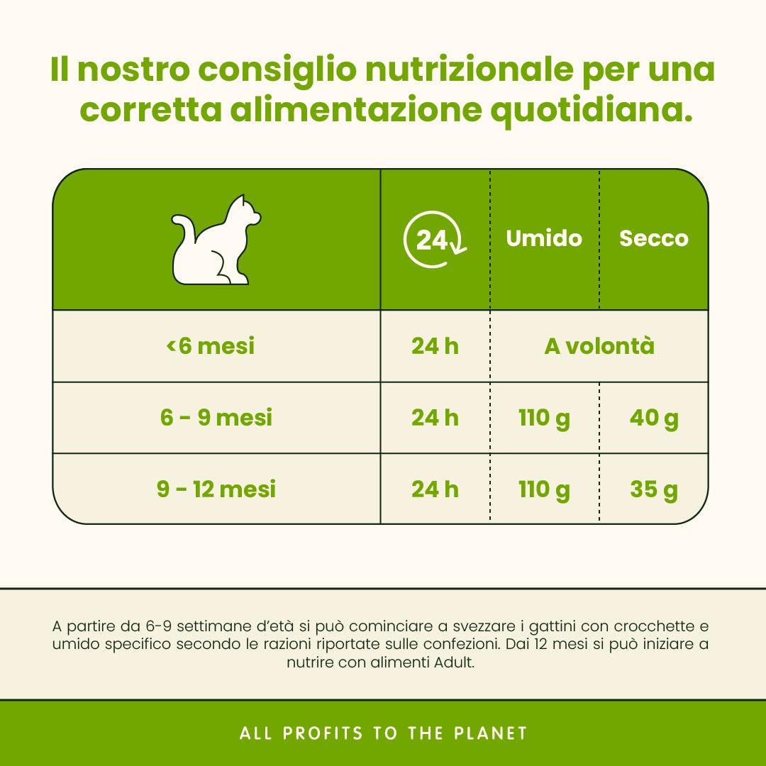 almo nature Daily - Kitten - Cibo Umido per Gattini - Mousse - Pollo - 85 g, Confezione da 24
