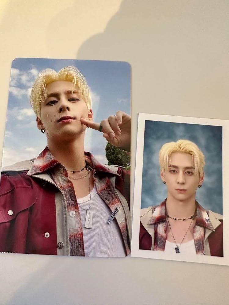 西洸人 メッシュポーチ IDフォト トレカ 106 117 119 メール 西洸人 メッシュポーチ IDフォト トレカ 106 117 119 メール INI