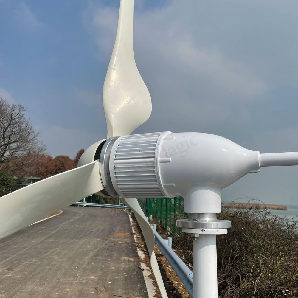 Generador de viento horizontal de 3000 W, 48 V, con regulador de carga MPPT híbrido, turbina de viento para molino de viento para el hogar (con regulador de carga híbrido)