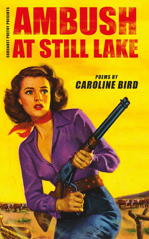 Cover of Ambush at Still Lake