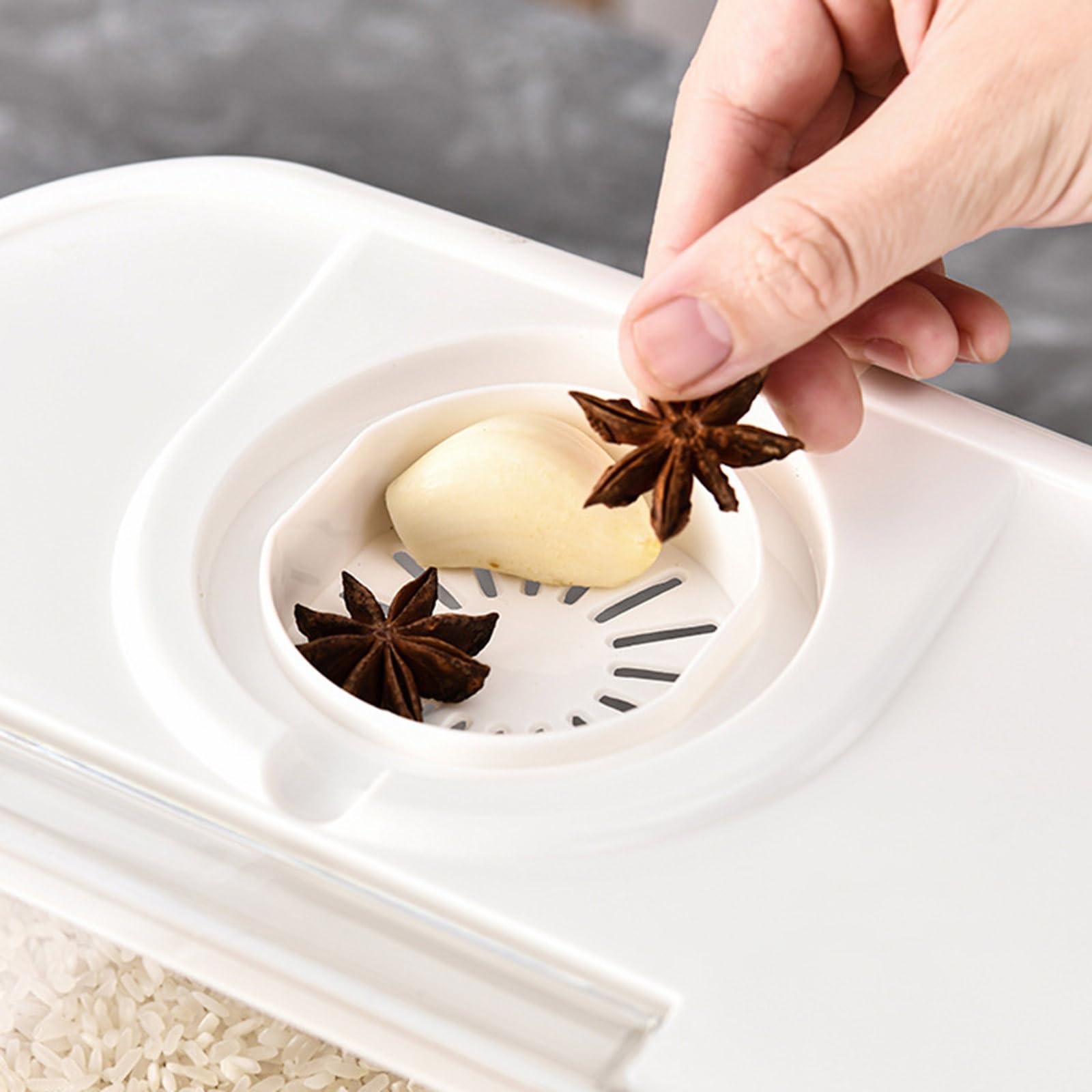 Contenitore di immagazzinaggio del riso del grano chiaro della scatola di immagazzinaggio di grande capacità forniture per la famiglia per la raccolta di fagi