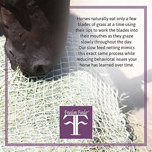 Freedom Feeder Mesh Net Full Day Slow Horse Feeder — Designed To Hold 30 Lbs/4 Flakes Of Hay And Feed Horse All Day — Reduces Horse Feeding Anxiety And Behavioral Issues #TOP4
