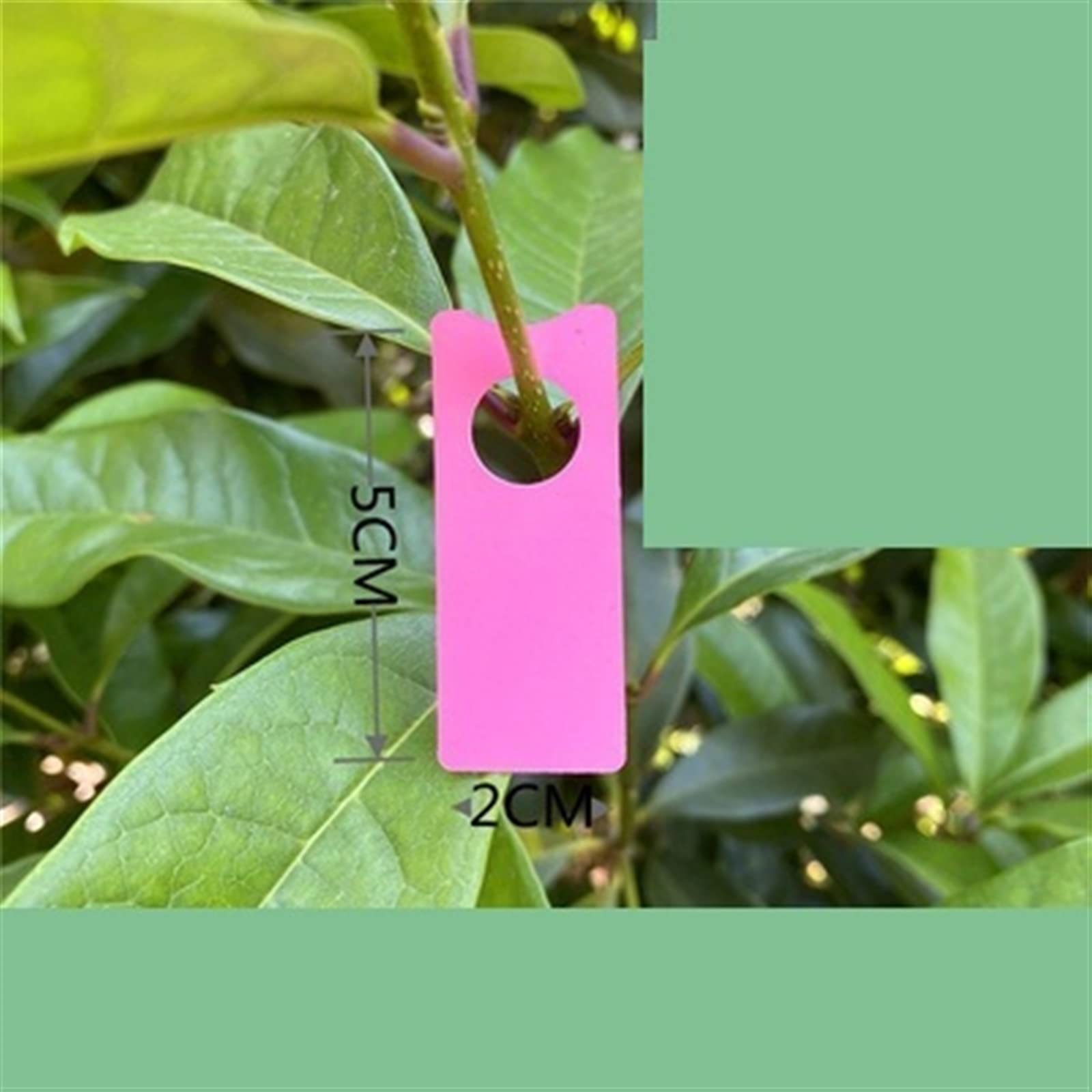 Étiquettes de Jardin pour Noms de Plantes， Lot de 1000 marqueurs de Jardin, étiquettes décoratives for Plantes(Pink)