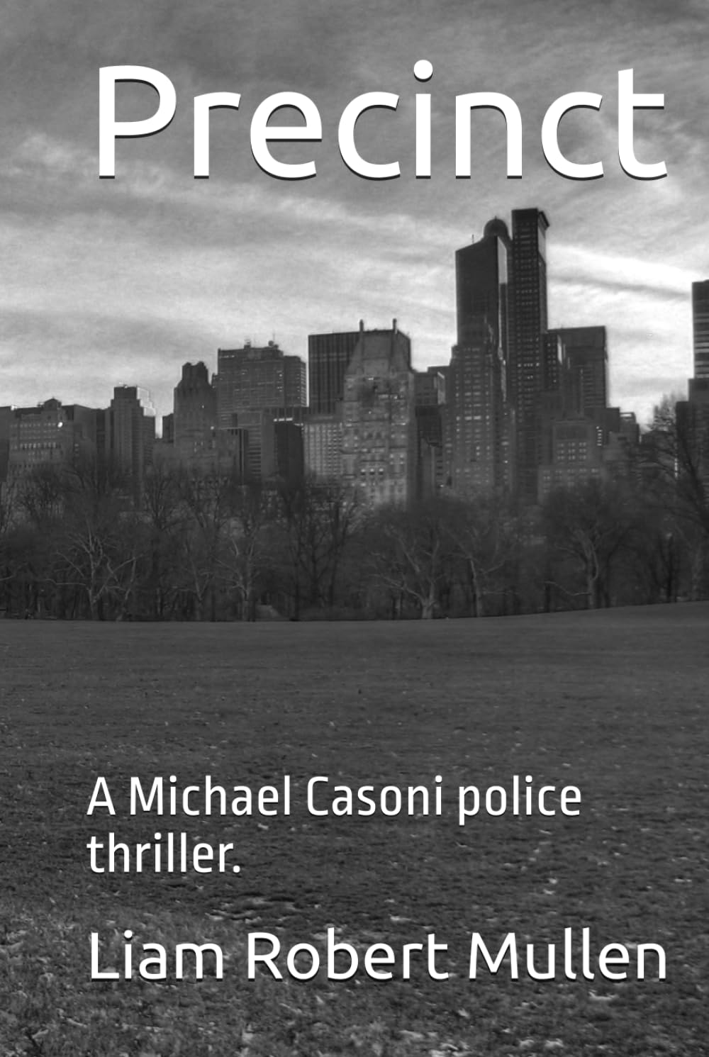 Precinct: A Michael Casoni police thriller.