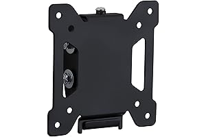 Mount-It! VESA 100 Wall Mount: The Perfect TV Companion