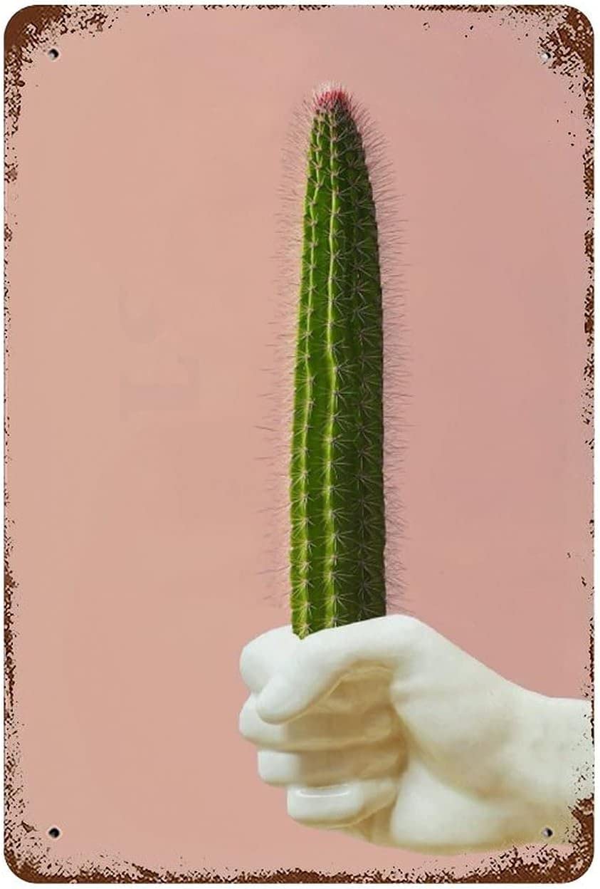 rayprint Colorful Succulent Retro Tin Sign Gay Cowboy Metal Poster Funny Erotic Cactus Signs Decoration Modern Decor Plant Wall Decor For Home Bar Plate 12x16inch