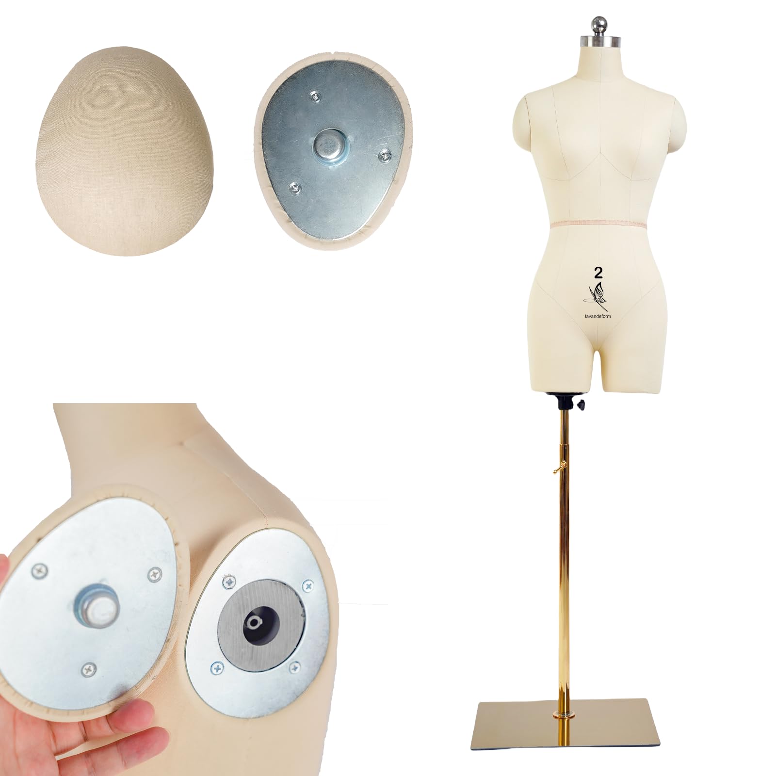 Amazon.com: lavandeformFemale Sewing Mannequin Size 2