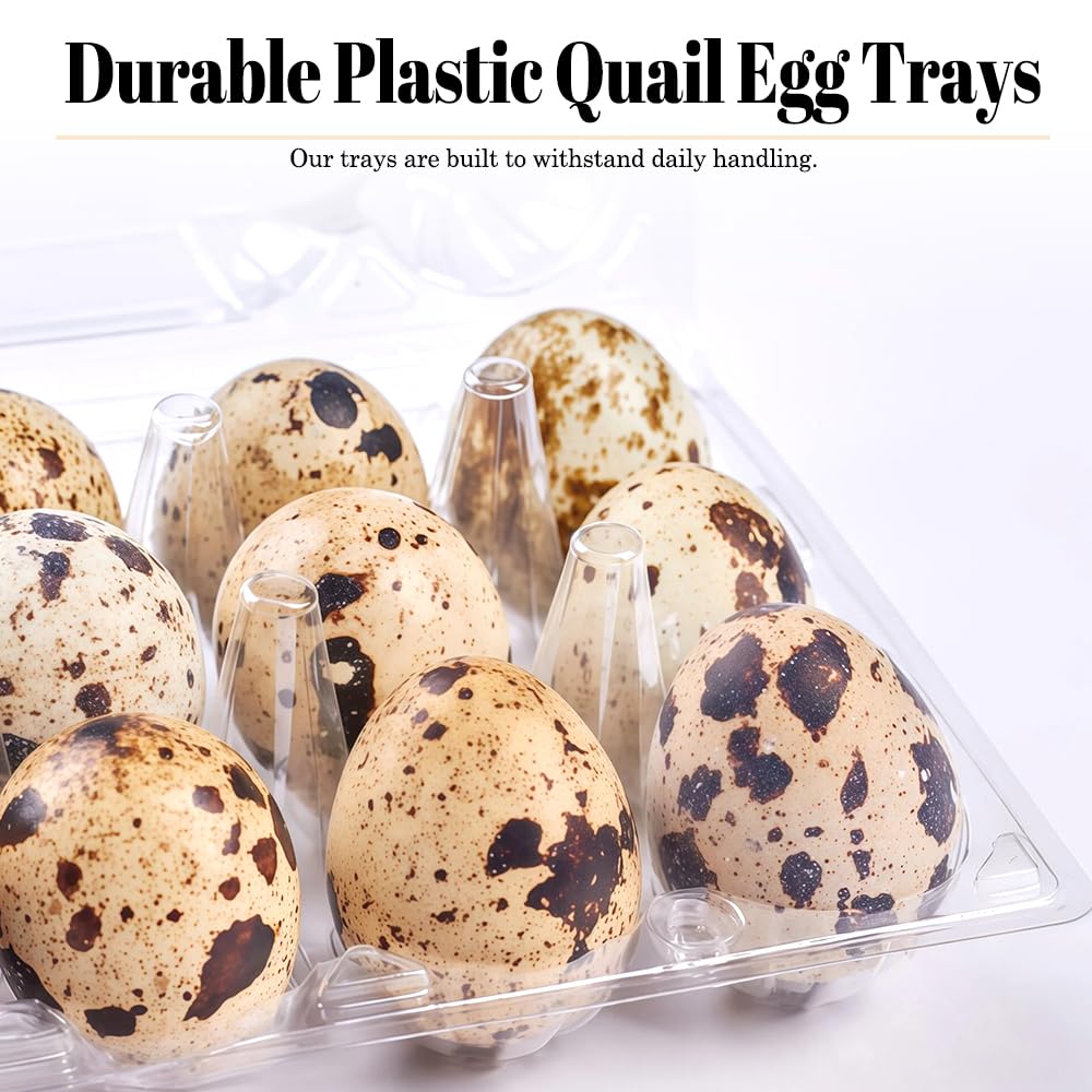 50 Pièces Boîte à Œufs de Caille,Conteneurs Pour œufs de Caille,Boîtes à œufs de Caille en Plastique,Modèle 12 œufs,Réutilisable, Gain de Place, Empilable et Transparent