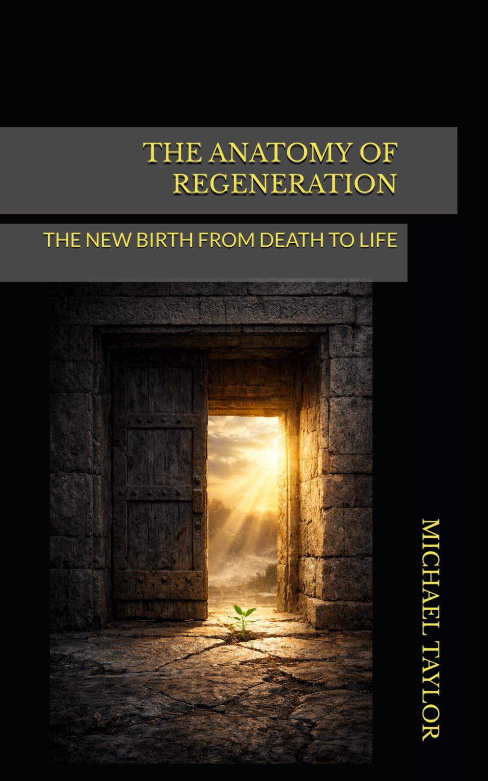 THE ANATOMY OF REGENERATION: THE NEW BIRTH FROM DEATH TO LIFE (THE ANATOMY BIBLE SERIES)