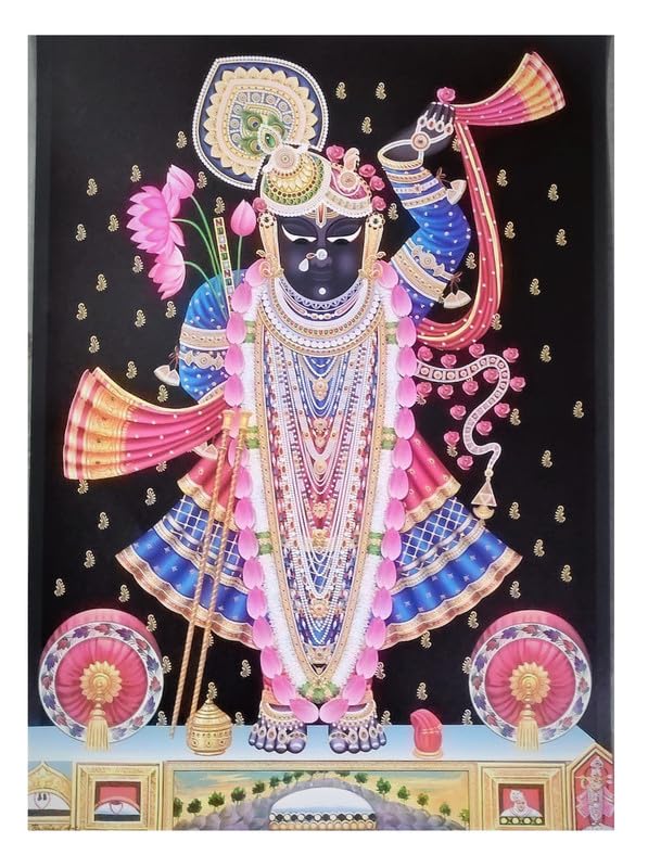 BM TRADERSJai Shreenathji Elegant Painting Texture Coated Fine Print Poster Without Frame (20 x 28 Inches)