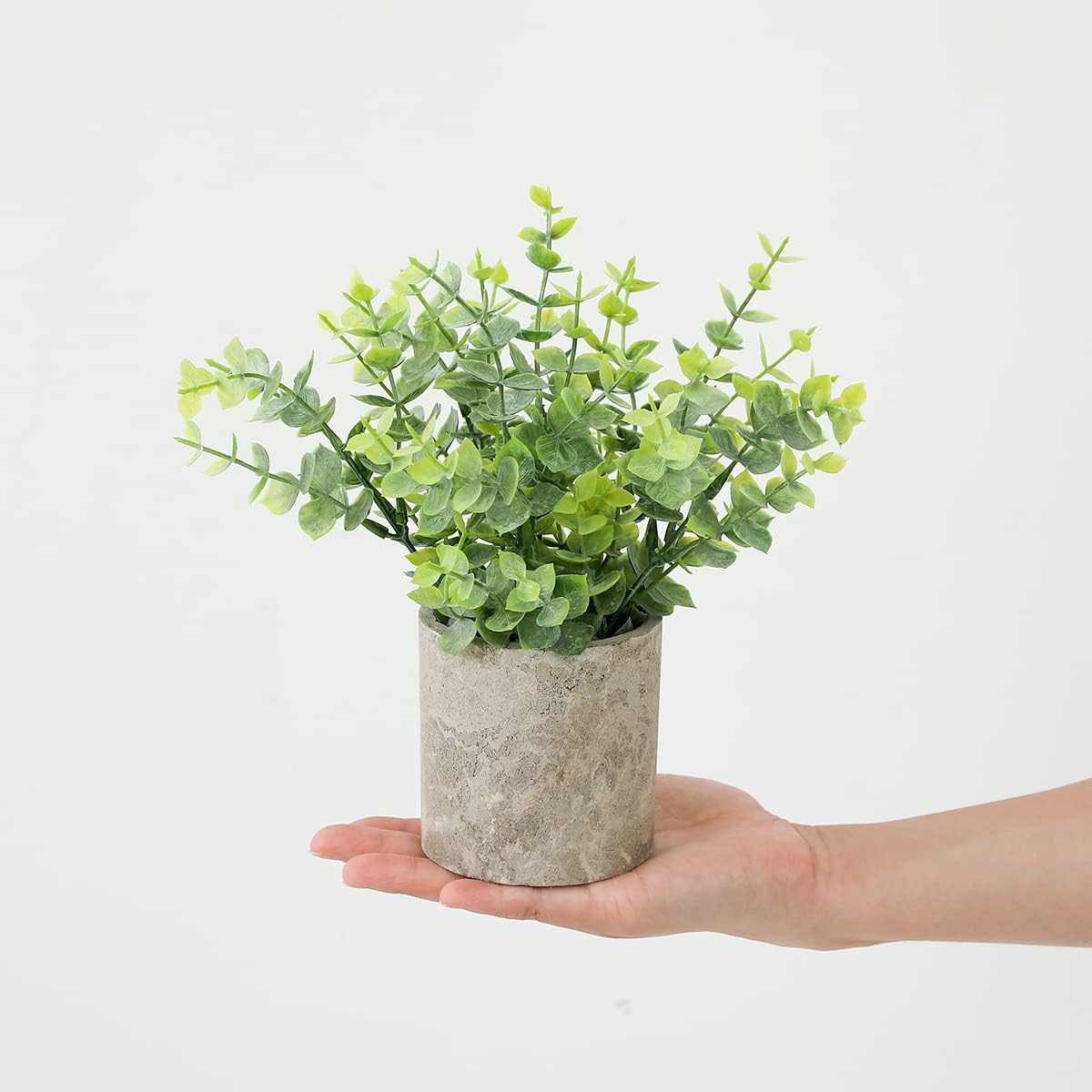 Veryhome 4PCS Artificial Plant in Pots Fake Succulents Plants in Pulp Pots Faux Eucalyptus Rosemary Topiary Shrubs Potted for Home Decorative Home Accessories Desk Living Room Decor 6 61QyY3i41oL. AC SL1200