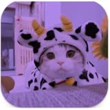 Lesin
