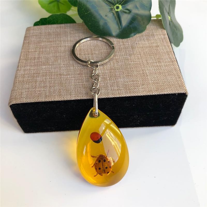 Image of 6Pcs Amber Fossil Keychain Set - Insect Specimen Necklace, Home Decor Collectible, Oval Pendant, Scientific Education Gift