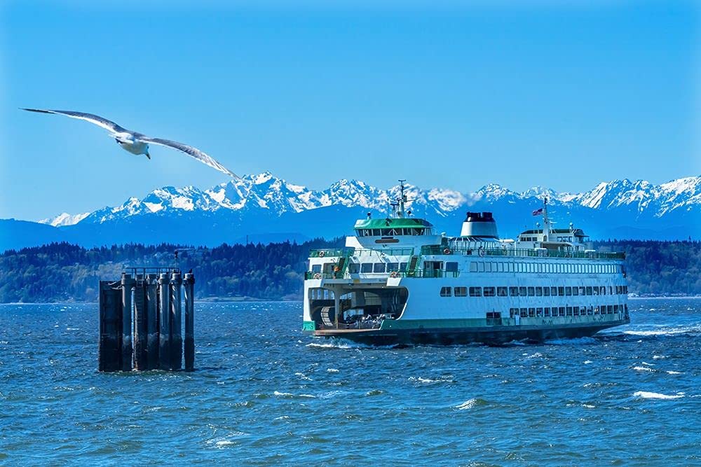 ArtExpert Seagull and Washington State Ferry-Olympic Mountains-Edmonds-Washington State by William Perry - 18x12 Art Print Poster, Multicolor
