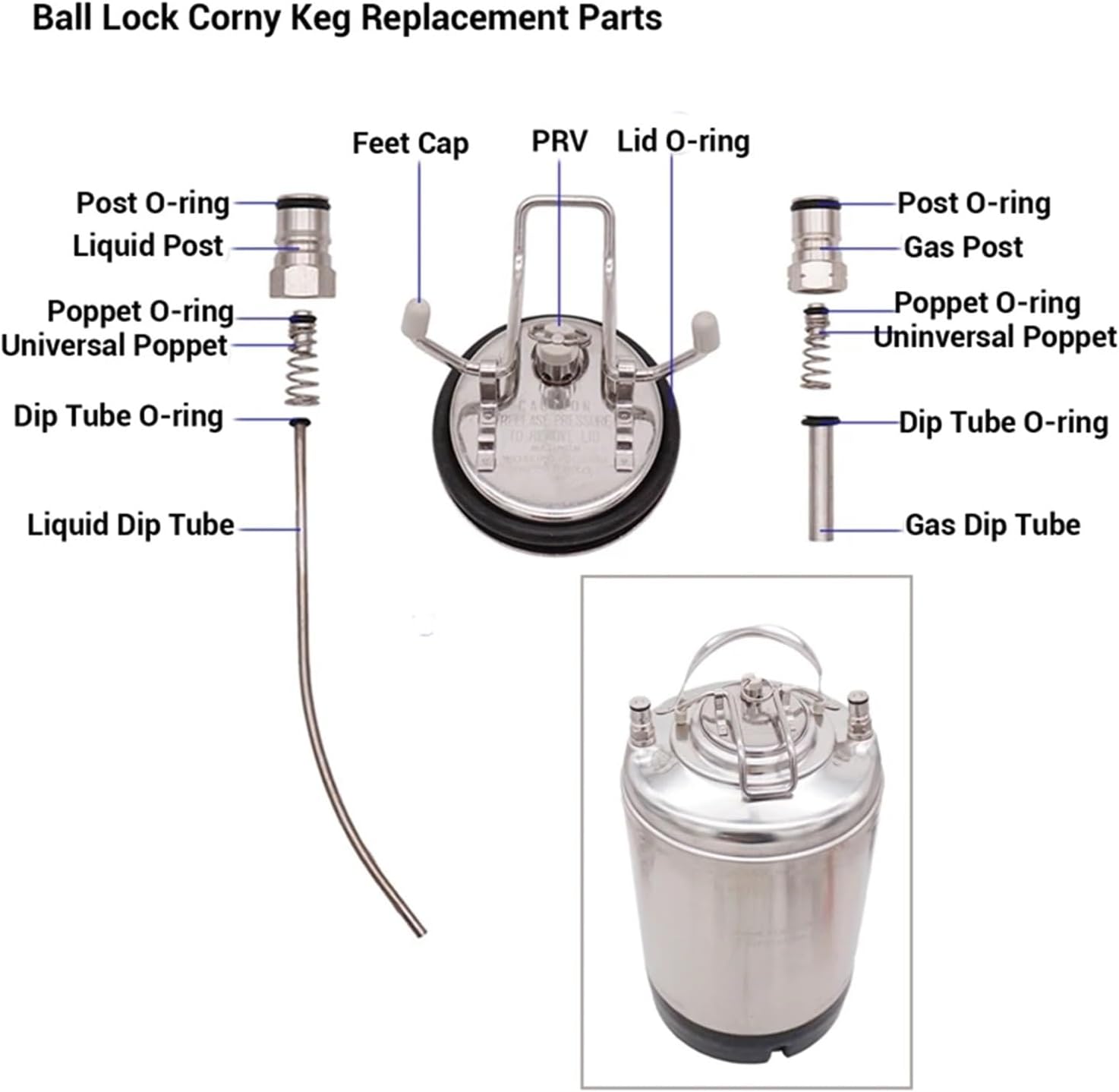 Home Brewing Ball Lock Keg Post & Poppet Set - 304 Stainless Steel Gas & Liquid Connectors for Craft Beer Brewing,1pcs(9 16-l)