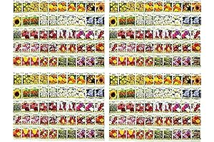 200 Abundant Flower Seed Packets for Vibrant Gardens