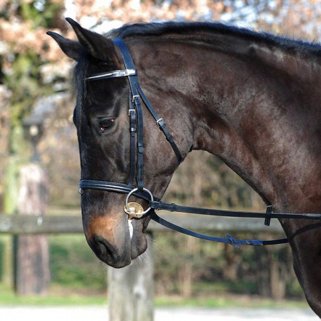 Stübben 2262 Golden Wings Snaffle Bit podwójnie uszkodzony