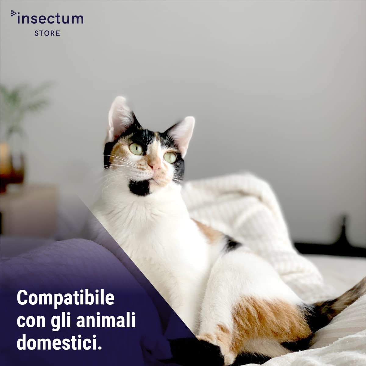 SMASH Spray Antipulci e Antizecche per Ambienti e Tessuti - Adatto per Ambienti con Animali Domestici - 2x500ml - Per uso in Casa ed esterno - Insetticida Senza Permetrina - Istruzioni Incluse