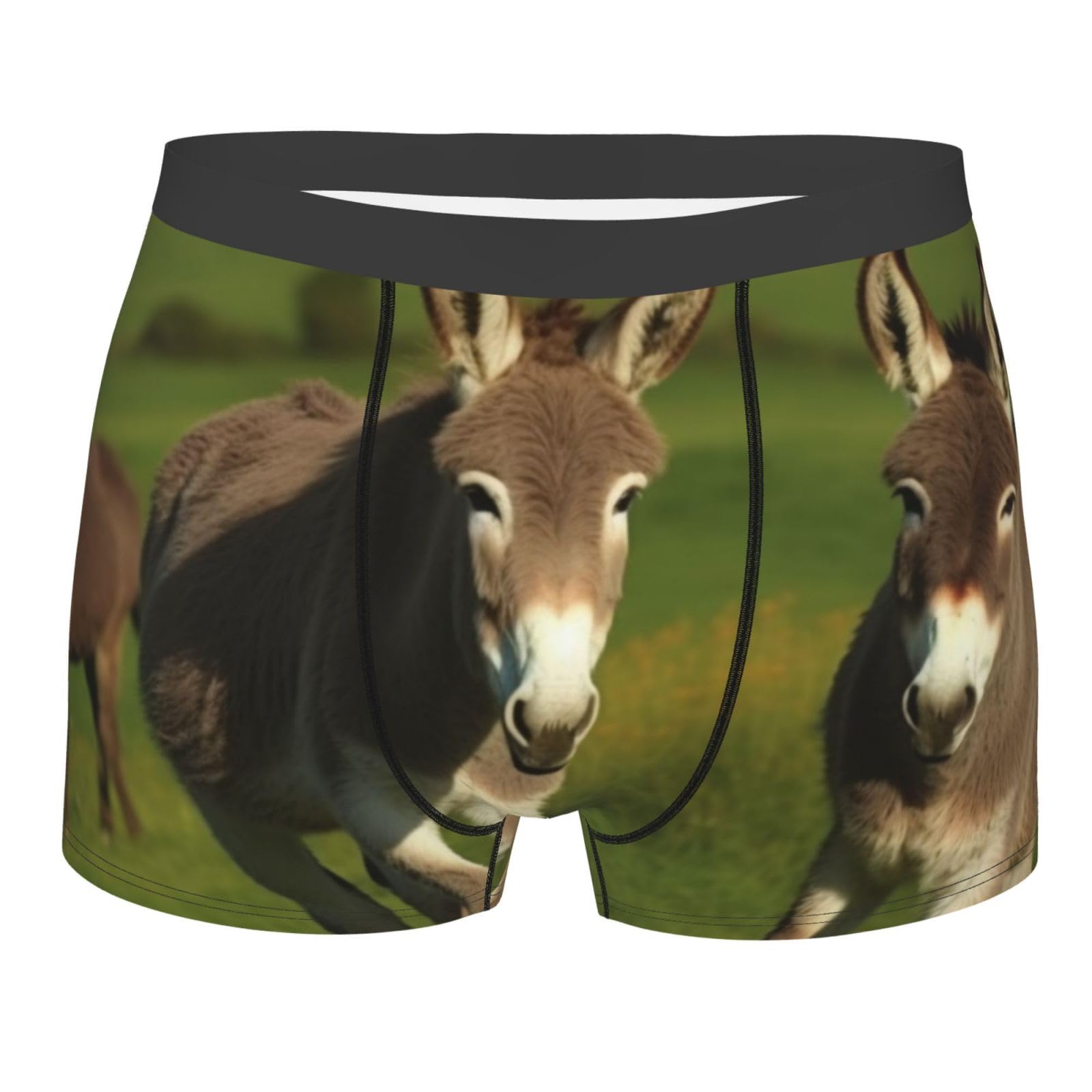 LHBWCVN Men's Ultra Breathable Underwear Donkey on green meadow Boxers Briefs Soft Cotton Boxer Shorts Tagless Trunks, Black, L