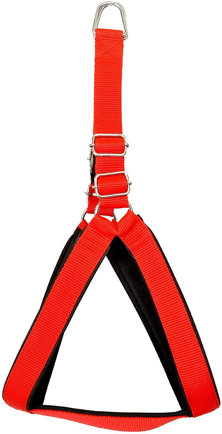 See full amazon price history chart for Pet Fab Dog Harness/Adjustable Cross Body Harness/Bodybelt Pet Fab Dog Harness/Adjustable Cross Body Harness/Bodybelt (B07Z9F9QST) Amazon Price History, Amazon Price Tracker