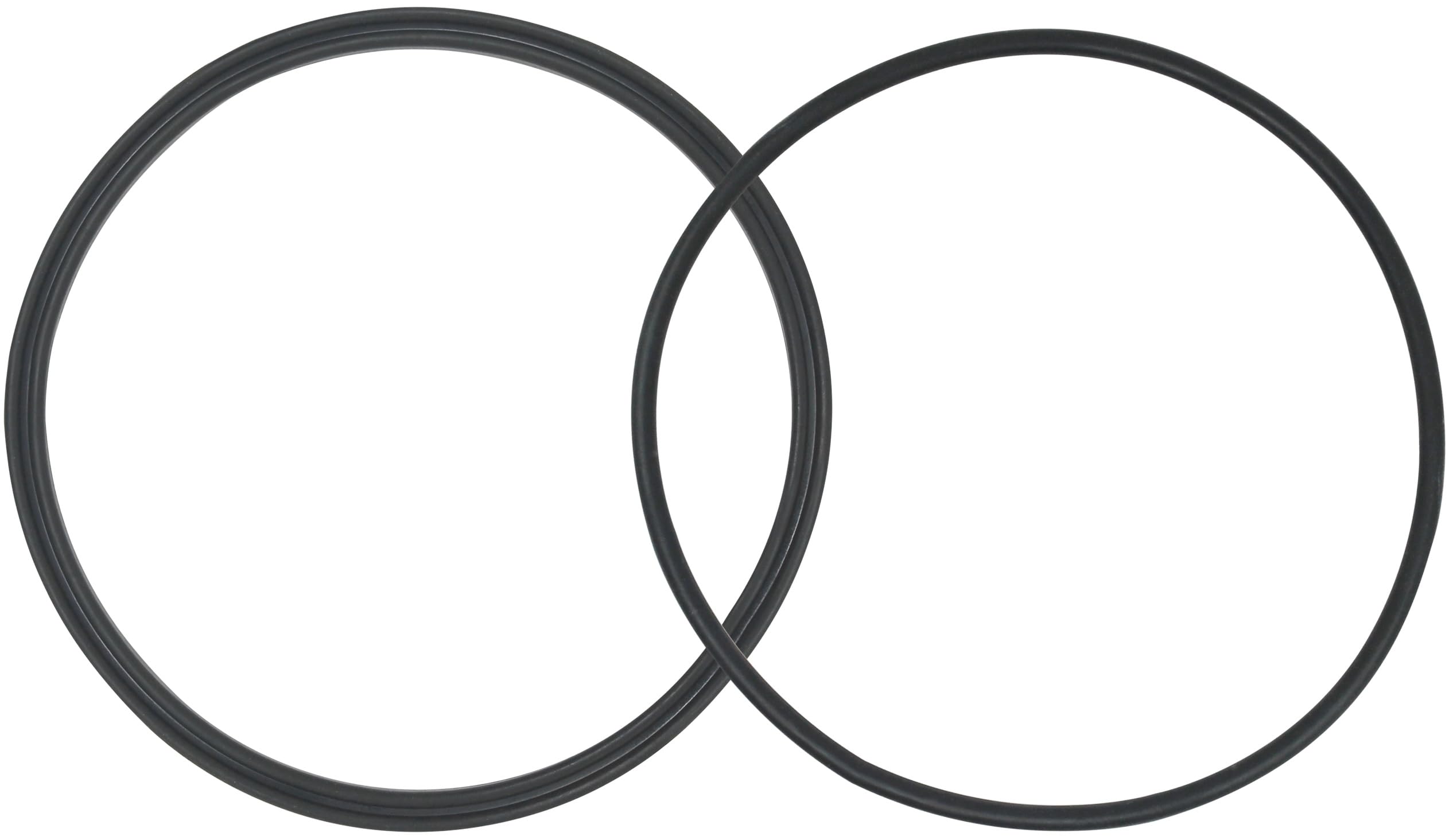 AppliaFit Lid Seal and O-Ring Compatible with Jandy R0449100 for Jandy and Zodiac Pumps