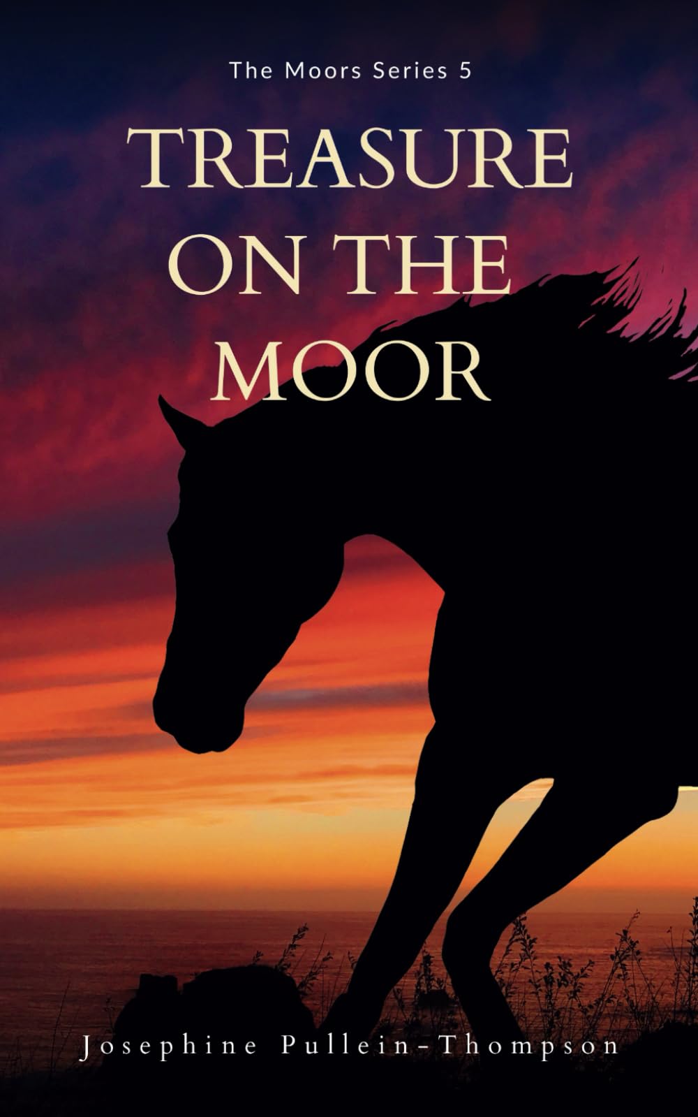 Treasure on the Moor: 5 (The Moors series)