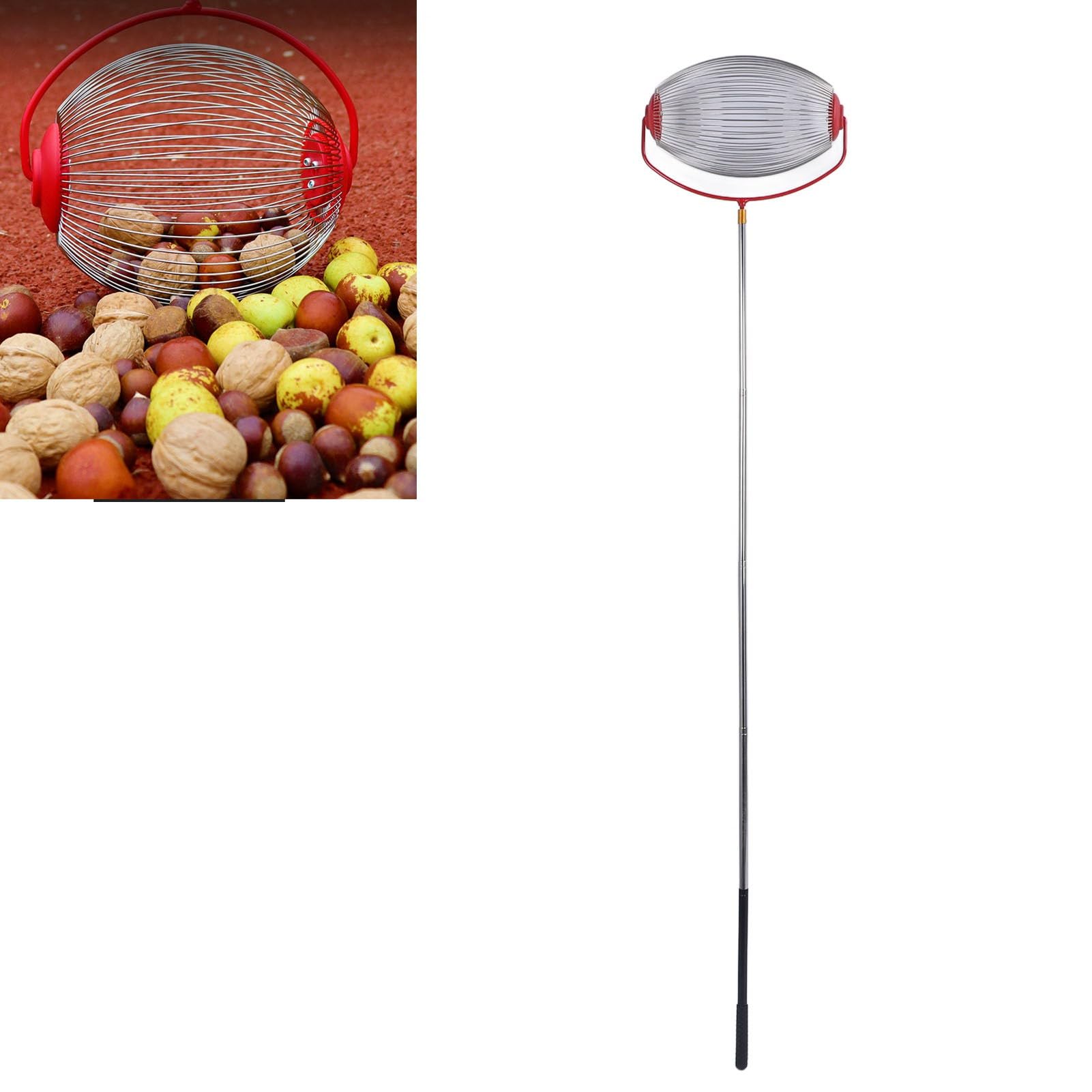Fdit Nusssammler aus Edelstahl mit Großer Kapazität, Effizienter Obstsammler für Walnüsse, Pekannüsse, Kastanien, Leichter, Tragbarer Rollender Eichelpflücker für (Großer, übergroßer