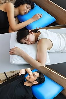 Amazon｜ブルーブラッド3D体感ピロークラシック テンセルカバー付き 枕