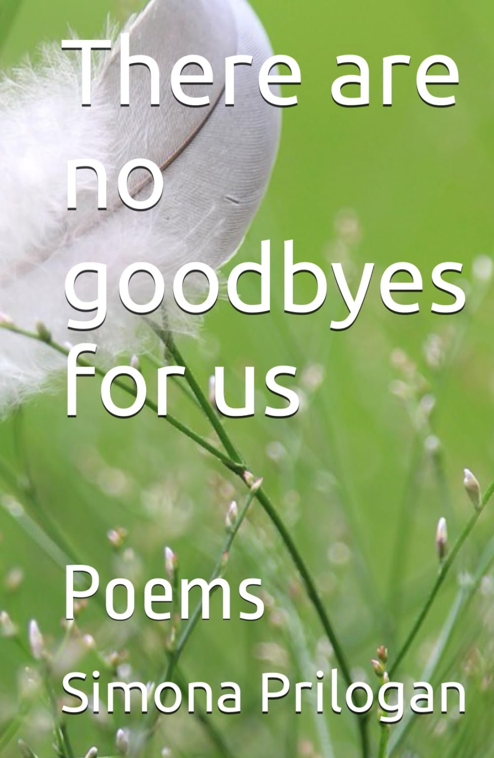 There are no goodbyes for us: Poems