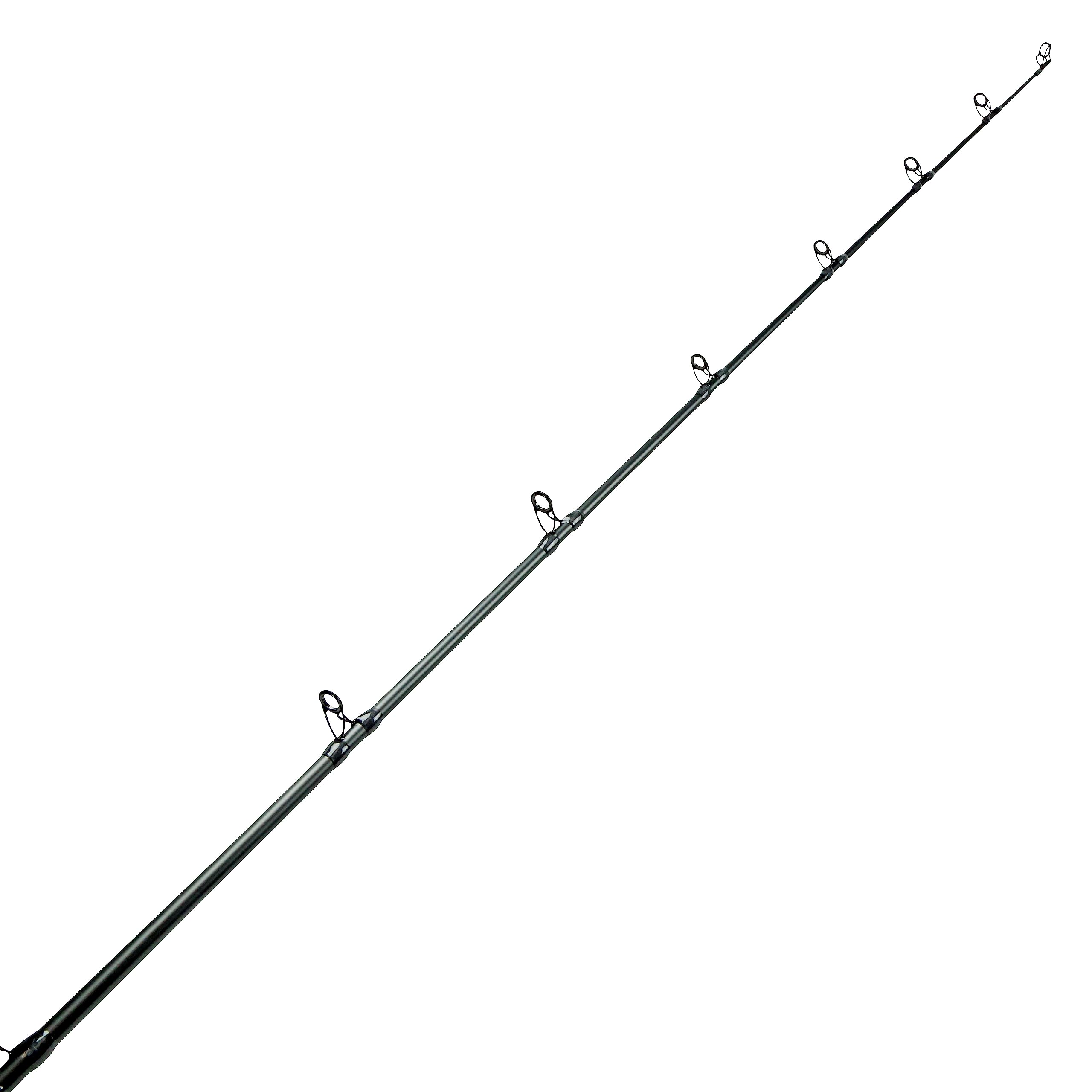 Dead Eye Classic Technique Specific Walleye Trolling and Jigging Rods, DEC-C-7101M-Ta : Sports & Outdoors