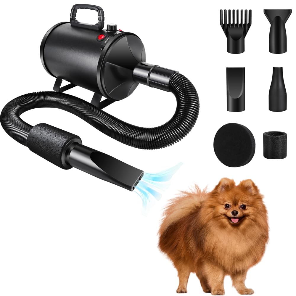 3500W Hundefön Blower mit 4 Düsen Tierhaartrockner Blower Hundefön Einstellbare Geschwindigkeit Fön für Haustiere Pet Dryer Haustier Hundepflege Trockner Hundetrockner Gebläse für Hunde und Katzen
