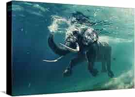 Amazon.com: ART.COM Stretched Canvas Print Swimming Elephant