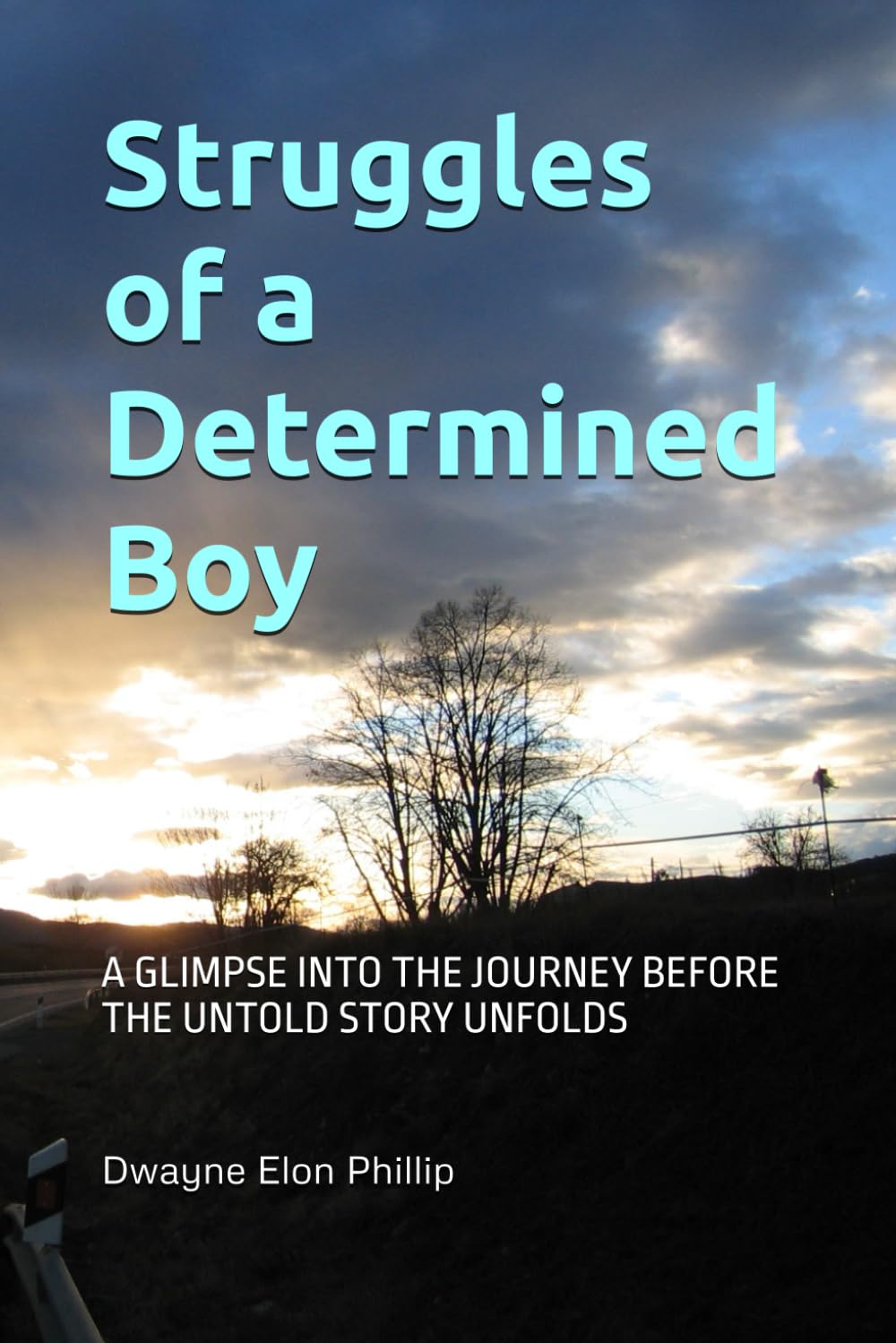 Struggles of a Determined Boy: A GLIMPSE INTO THE JOURNEY BEFORE THE UNTOLD STORY UNFOLDS