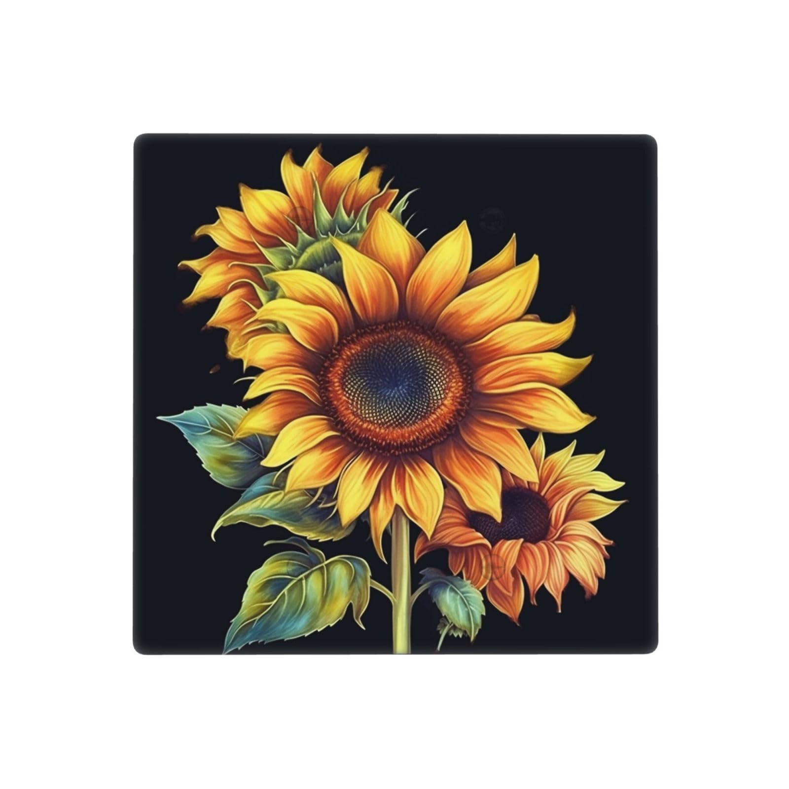 Decorator Wall Plate 2 Gang Light Switch Covers Summer Sunflower Wallplate Double Toggle Switch Plate Standard Size Electrical Outlet Covers Decorative Wall Switch Plate Cover