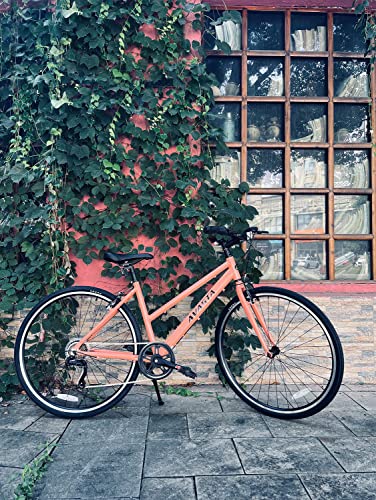 AVASTA Road Bike Women