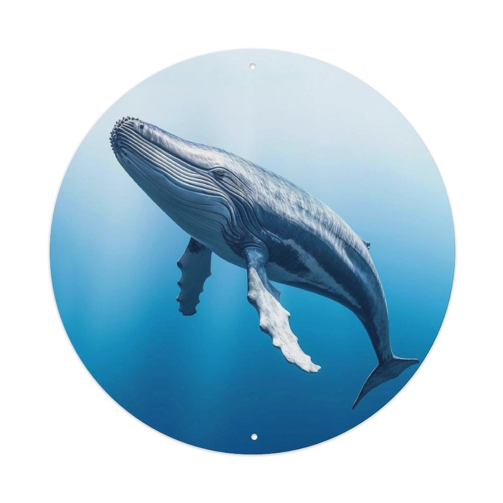 Animal Blue Whale Metal Tin Sign