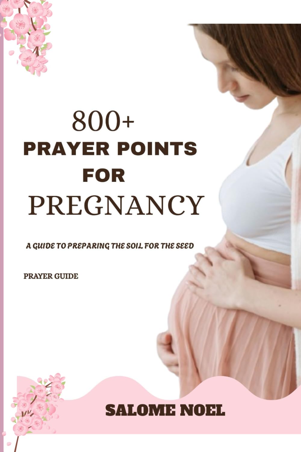 PRAYER POINTS FOR Pregnancy: A guide to preparing the soil for the seed