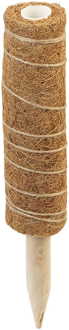 Royal Gardineer Pflanzstäbe Monstera: 16er-Set Rankhilfen aus Kokosfaser & Holz, 2x40 cm, 2x30 cm,Juteschnur (Rankhilfe Pflanzstab, Rankhilfen Zimmerpflanzen, Wein)