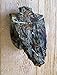 The Taxidermists Woodshop Camo Arrowhead European Skull Mount Pedestal Plaque