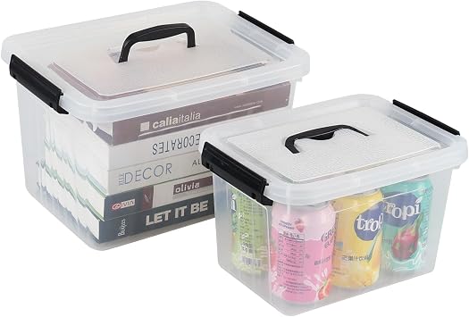Ggbin Clear Plastic Latch Storage Box with Handle, Lidded Storage Container
