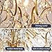 Bestier Modern Gold Pendant Chandelier Crystal Raindrop Lighting Ceiling Light Fixture Lamp for Dining Room Bathroom Bedroom Livingroom entryway 3 E12 Bulbs Required D16 in x H18 in