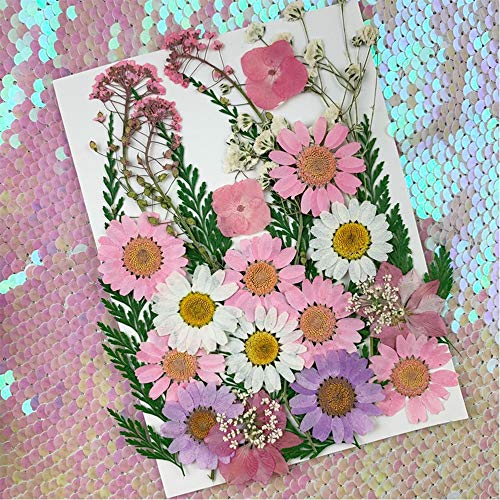 2 Stuks Gedroogde Bloem Materiaal Pakket, Gemengde Organische Natuurlijke Gedroogde Bloemen, Geperste Bloem, voor Hars… - Afbeelding 5