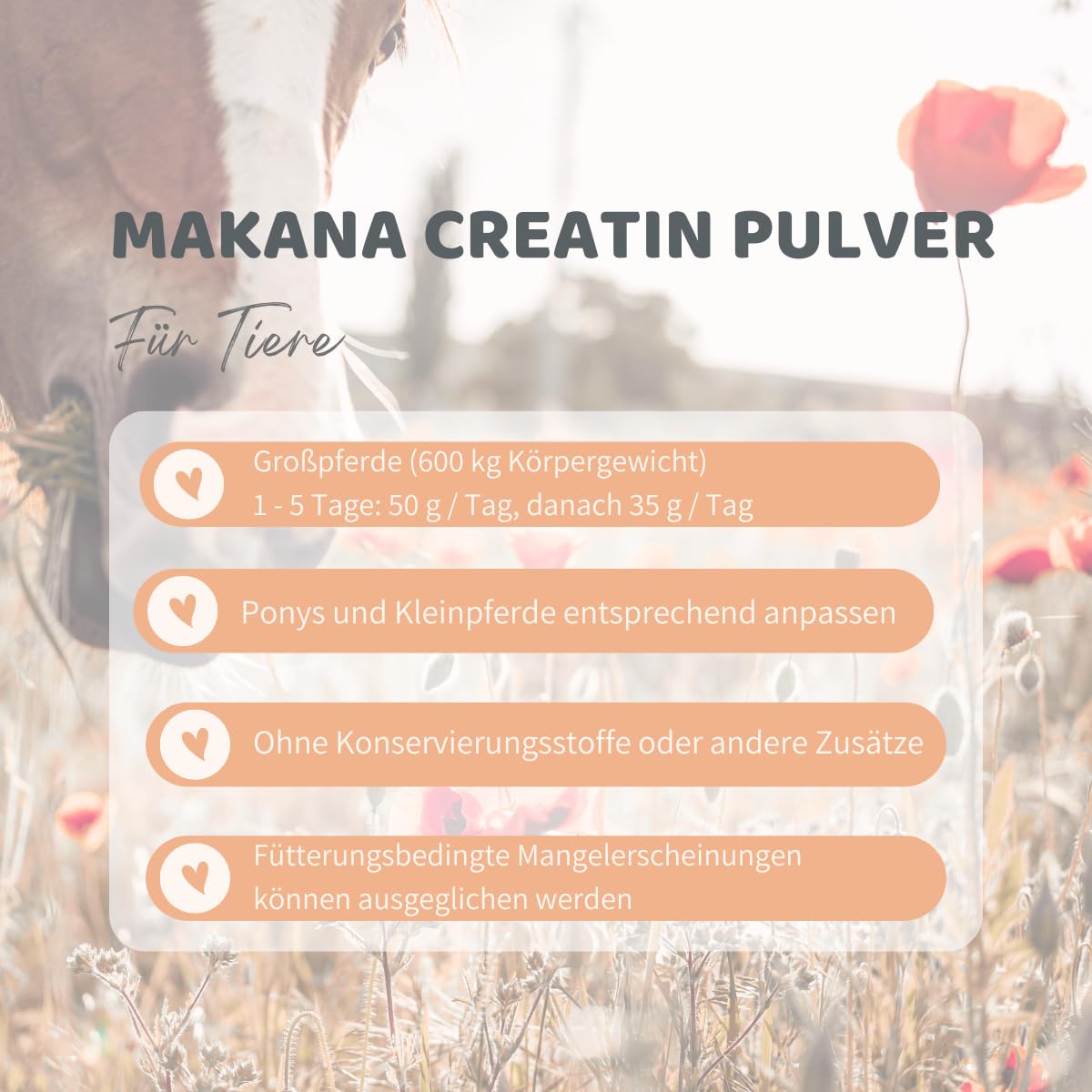 Makana Creatina (creatina) en Polvo para Caballos, Lata de 1 kg