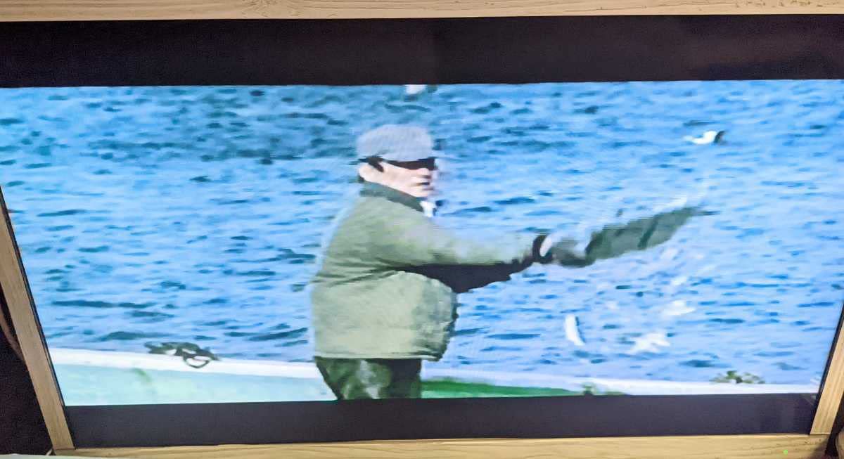 Amazon.co.jp: 高倉健ホタルVHSセルビデオカラー114分 発売元：東映 