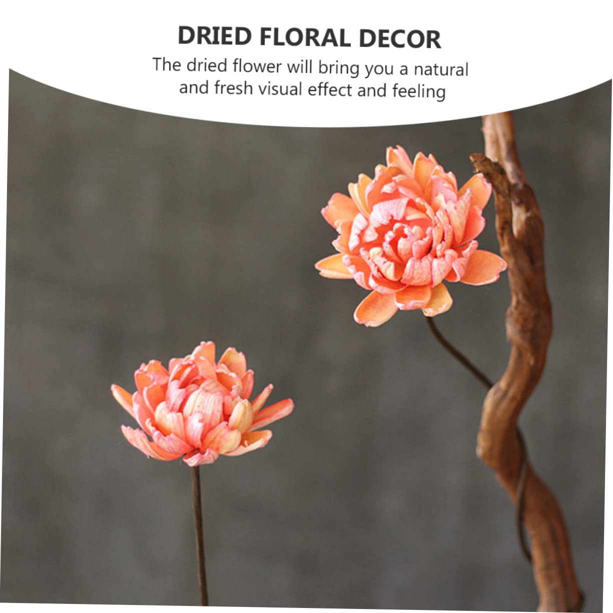 Cabilock Lot de 2 Mini Bouquets de Fleurs Artificielles Séchées Naturelles Décoration pour La Maison Un Mariage